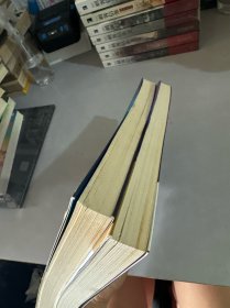 苏丹的禁宫（上下）