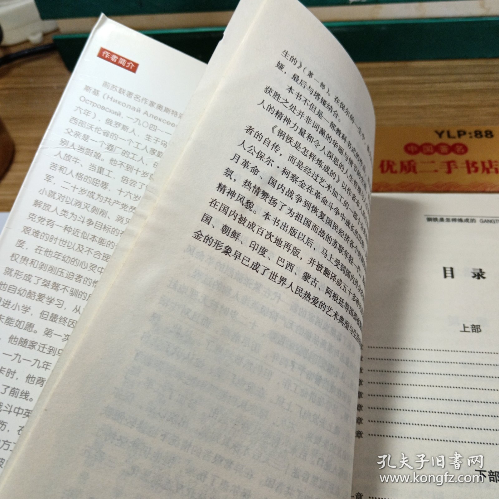 钢铁是怎样炼成的 典藏全译本
