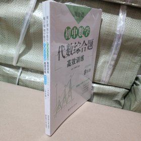 周计划：初中数学代数综合题高效训练（8年级）+参考答案 2册合售