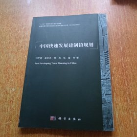 中国快速发展建制镇规划