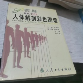 实用人体解剖彩色图谱