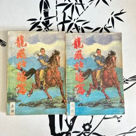 龙飞杜鹃窝 上下