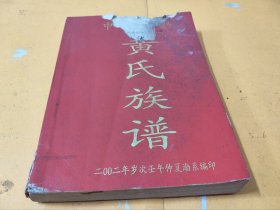 中闽泷渤黄氏族谱