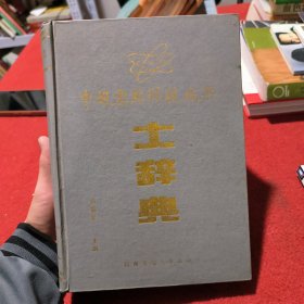 中国实用科技成果 土辞典