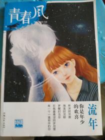 青春风特辑1 流年（年刊）疯狂阅读 校园文学（新版）--天星教育