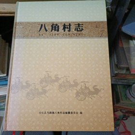 八角村志(安化县)