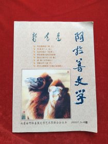 阿拉善文学2007年3—4期