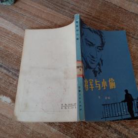 将军与小偷