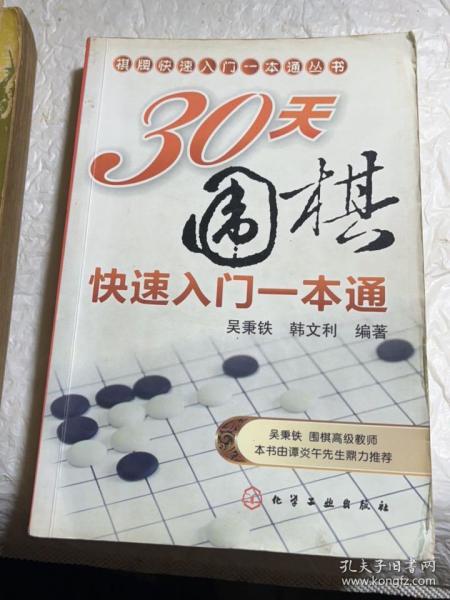 棋牌快速入门一本通丛书：30天围棋快速入门一本通