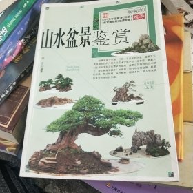 中国山水盆景艺术