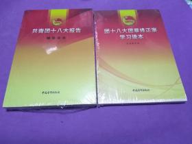 共青团十八大报告辅导读本 团十八大团章修正案学习读本（两册同售）【正版！】