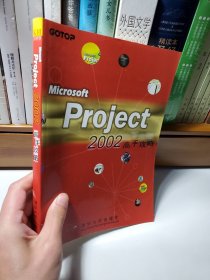 Microsoft Project 2002高手攻略