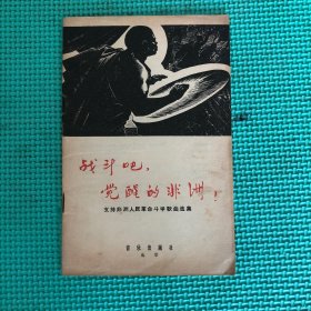 战斗吧，觉醒的非洲！