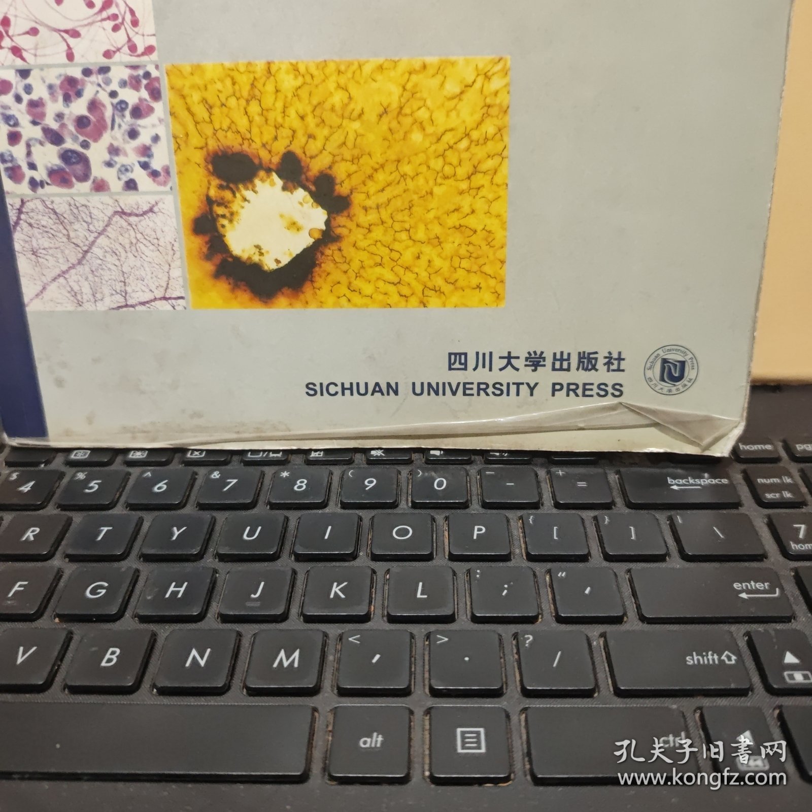 实用组织学彩色图谱（原书实物拍的照片，铜版纸印刷，内页干净无笔记，详细参照书影）客厅2-2