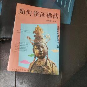 中国神秘文化研究丛书・如何修正佛法