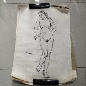 安徽合肥籍，职业画家、艺术家（盛奇）1986年在中央工艺美术学院时的素描