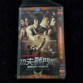 光盘DVD：功夫战斗机  简装2碟
