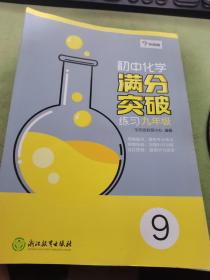 学而思：初中化学满分突破练习（九年级）