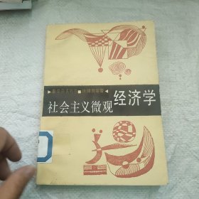 社会主义微观经济学