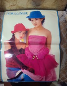 明星海报Twins压膜2
