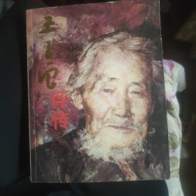 王子云评传