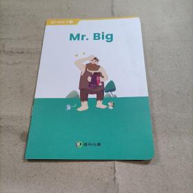 斑马AI课  Mr·big