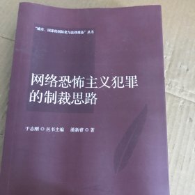 网络恐怖主义犯罪的制裁思路