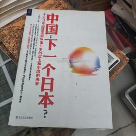 中国：下一个日本？：十大日本经济学家纵论日本的过去和中国的未来