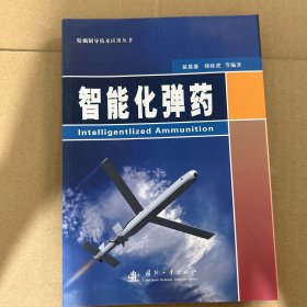 精确制导技术应用丛书：智能化弹药