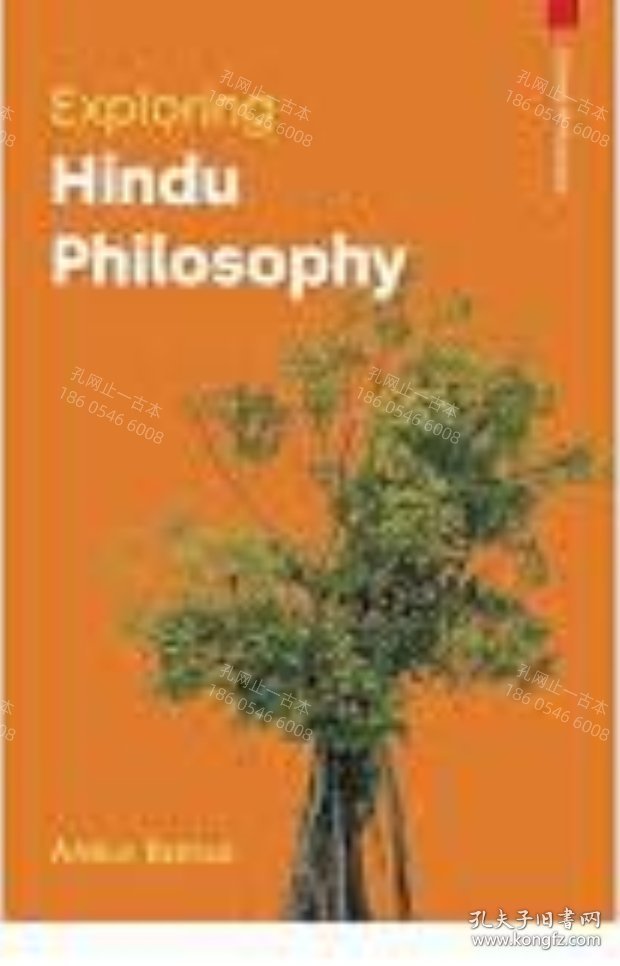 价可议 Exploring Hindu Philosophy Global Philosophy nmwxhwxh
