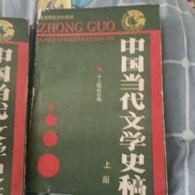 中国当代文学史稿（上下）