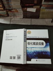 极化微波成像(16开精装)