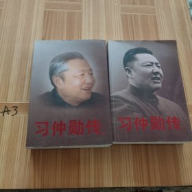 习仲勋传