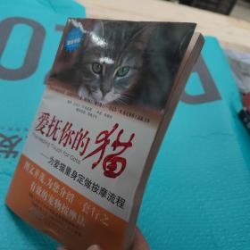 爱抚你的猫：为爱猫量身定做按摩流程