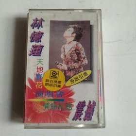 磁带：林忆莲-天地野花