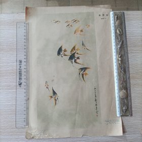 热带鱼 8开 1973年一版一印 广西人民出版社