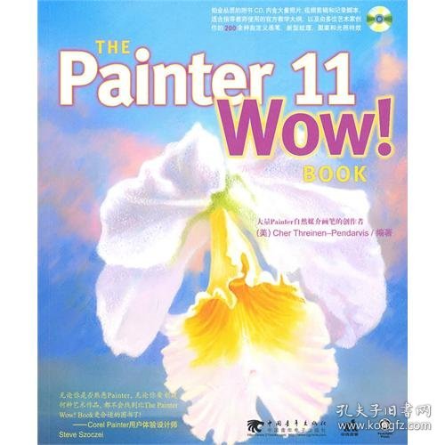 THE PAINTER 11 WOW！BOOK