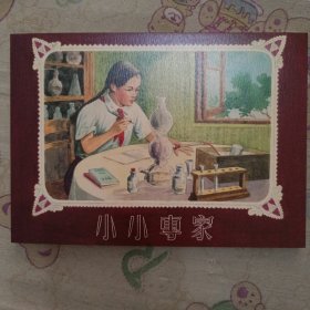 小小专家32开平装连环画小人书（祖国的花朵盒装书散本）