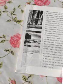 中国文化知识读本：壮族