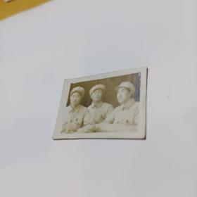 王广义，刘辉，董树南1948年8月12合影照片