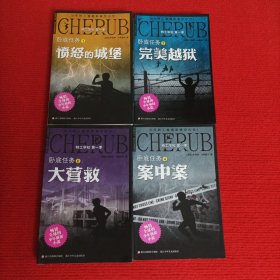 卧底任务.：愤怒的城堡、完美越狱、案中案、大营救【4本合售】