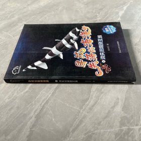 消失的精灵王族/我们的家园:寻找失落的海洋原创海洋科普文学大系(6)