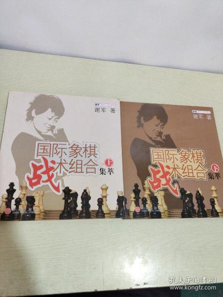 国际象棋战术组合集萃（下）