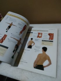 anatomy of a healthy back 健康背部解剖学【品如图】