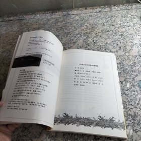 中国文化知识读本：龙门石窟