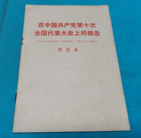 在中国共产党第十次全国代表大会上的报告