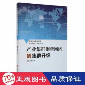 产业集群创新网络与集群升级 经济理论、法规 赫连志巍