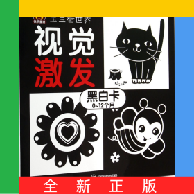 视觉激发(黑白卡0-12个月)/宝宝看世界