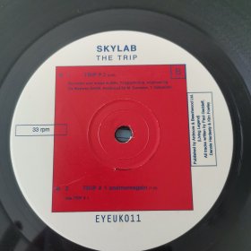 黑胶唱片：英文原版老唱片，SKYLAB THE TRLP