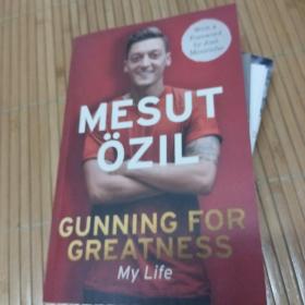 Mesut?zil Gunning for Greatness: My Life Mesut?zil